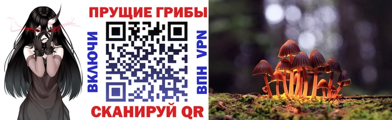 MEGA сайт  Старый Крым  площадка телеграм  как найти закладки  Псилоцибиновые грибы Psilocybine cubensis 